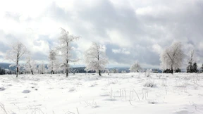 Winterliche Aussichten für Deutschland