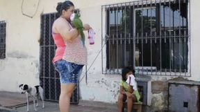 Mehr als 2000 Schwangere mit Zikavirus infiziert