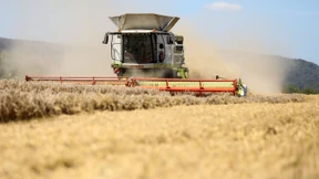 Getreideernte 2023 deutlich unter Durchschnitt