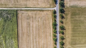 Die Verlierer leben eher auf dem Land