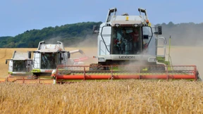 Spekulation erhöht die Agrarpreise nicht 