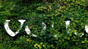 Keine Macht den Ausschüssen!