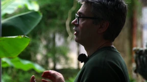 „Solche Bananen gibt es nur bei uns“