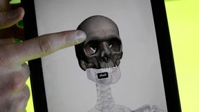 Nicht böse sein, Google