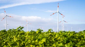 Habeck und Lemke wollen Ausbau der Windkraft beschleunigen