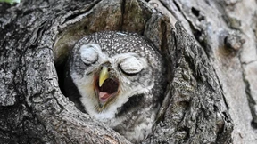 Die besten Tipps gegen Müdigkeit