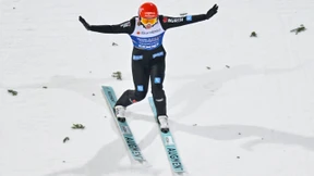 Wenn sie doch nur eine Landekatze wäre