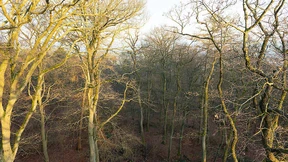 Langzeit-Projekt unter Argusaugen