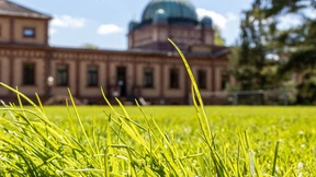 „Es ist schon wahnsinnig faszinierend“