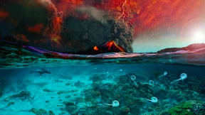 Der fatale Einfluss von Kohlendioxid