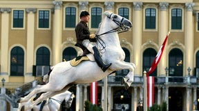 Hervorragende Dissertationen des Jahres 2022