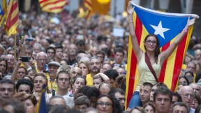 Abstimmung mit beschränkter Haftung