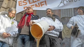 Schadenersatz wegen Verunreinigung von Honig