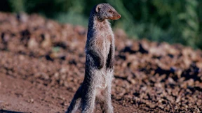 Am liebsten in der Großfamilie unterwegs