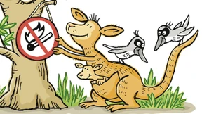 Eukalyptische Feuersbrunst