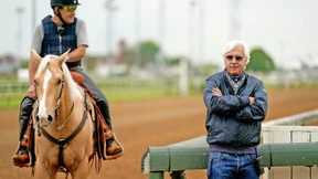 Wie sich ein Rennpferdtrainer aus Dopingsperren klagt