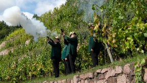 Scharf schießen in Meißen 