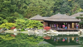 Ein Frosch aus Japan macht China verrückt