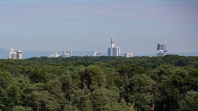 Vermisster Jugendlicher tot aufgefunden