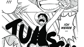 Ein Schatz, hundert Bände, tausend Figuren