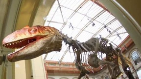 Am gleichen Knochen ziehen?