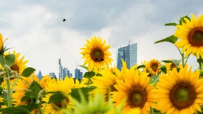 Wenn die Gäste fehlen