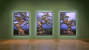 Die Beherrschung verloren