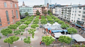 Das Frankfurter Paulsplatz-Paradoxon