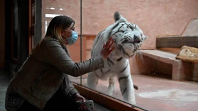 Corona-Krise macht Zoo in der Ukraine zu schaffen