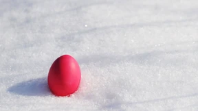 Frohe „Frostern“:  Kein Frühling in Sicht
