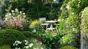 Ein Bild von einem Garten