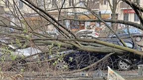 Eine halbe Milliarde Euro Schaden