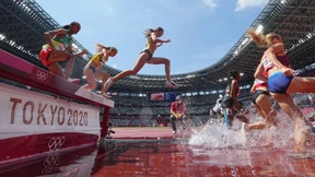 „Wie Pferde, ich liebe es“