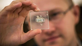 Chip-Altmeister floppt bei Christie’s Auktion