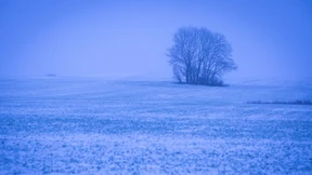 Frostige Nächte mit bis zu minus zehn Grad