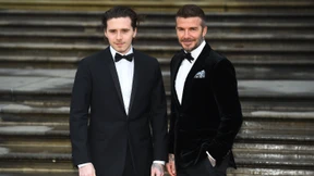 Probier’s doch mal mit Hund