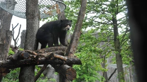 „Und schon ist man in den Anden“