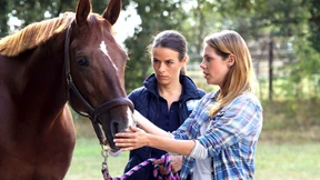 Selbst das Damwild schaut erschrocken