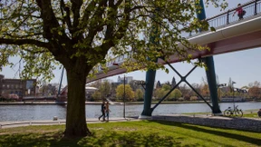 Mehr Blumen trotz Bevölkerungswachstums