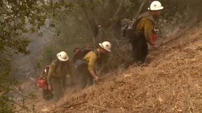 Tausend Hektar Land zerstört