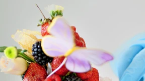 Essbare Kunstwerke aus Beeren und Äpfeln