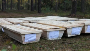 Ein echtes Schnäppchen