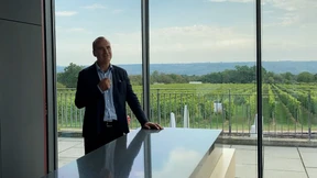 Der Riesling im Klimawandel