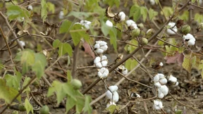 Herausforderung Nachhaltigkeit