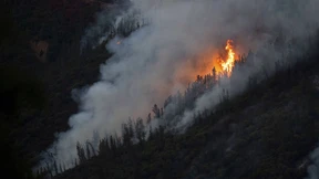 Heftiger Waldbrand bedroht Nationalpark