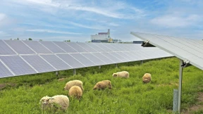 Das Geld ist da, die Gesetze nicht