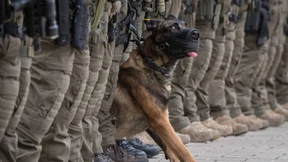 Eine Frage des Anstands