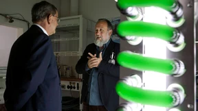 Die Zeit der Eiche ist vorbei