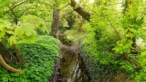 Neuer Spazierweg durch Parks in den Wald