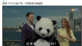 Chinas umstrittene Pinkel-Pandas